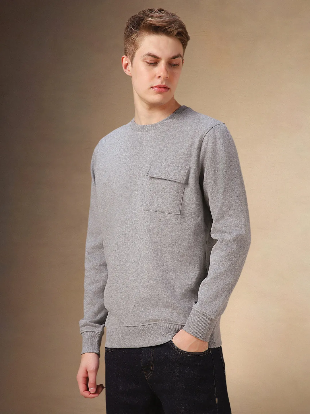 Men's Grey Solid Round Neck Full Sleeves Sweatshirt